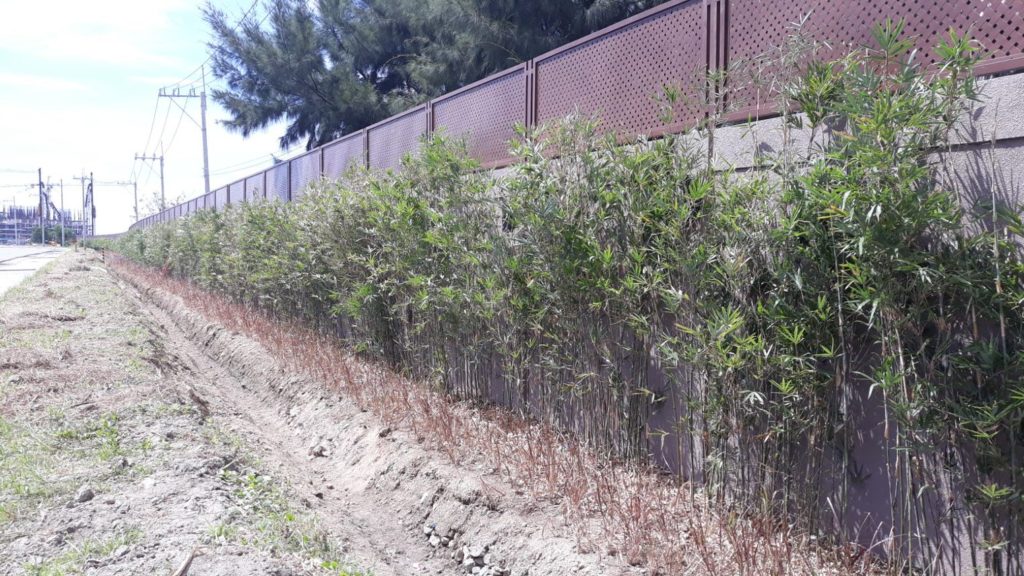 perimeter wall